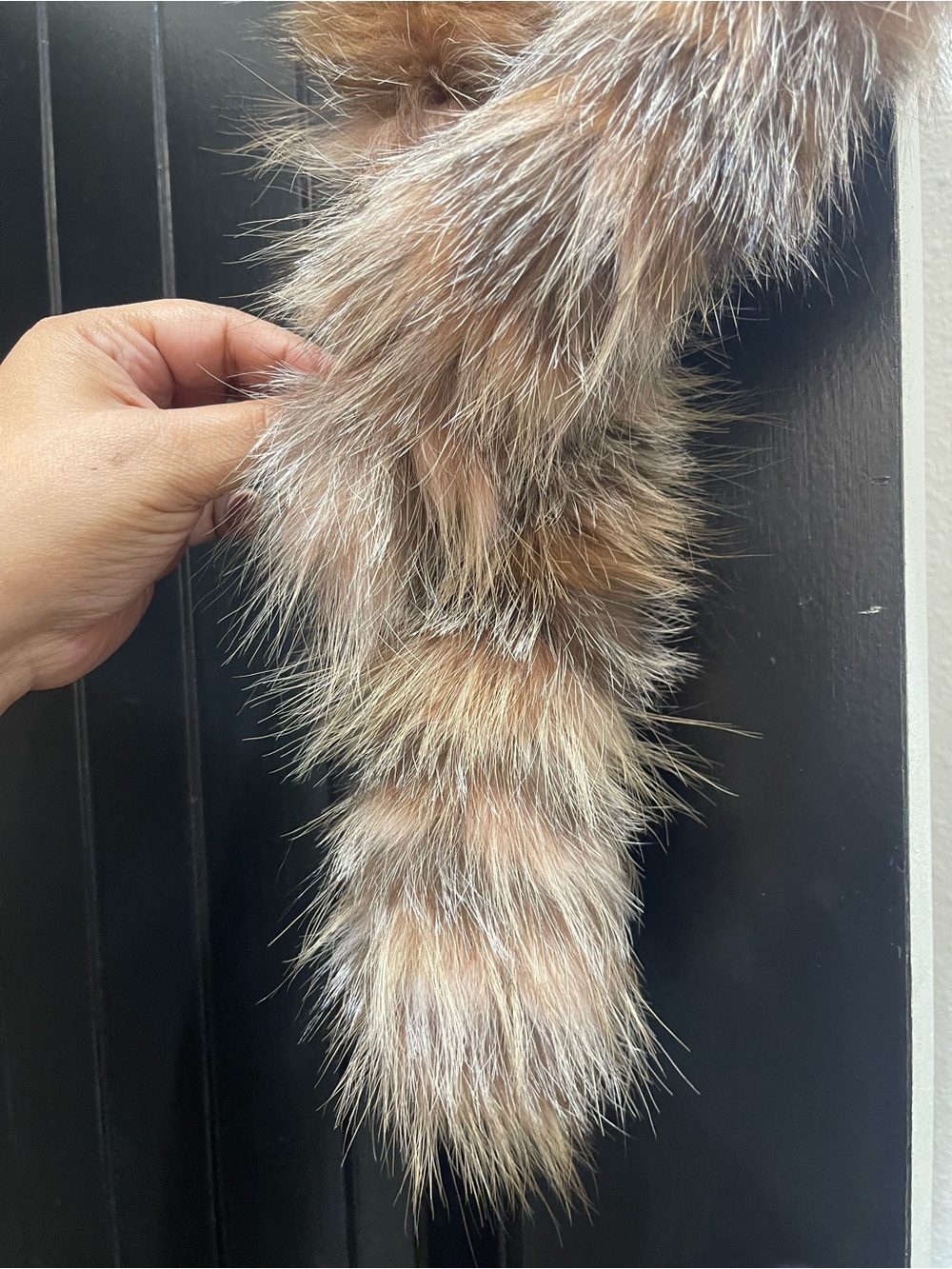 Fox Scarf - Picture 3 of 3